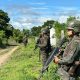 Guatemala strengthens its border with Mexico as Mexicans flee violence in Chiapas