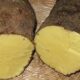 jamaica-yellow-yam-recipe