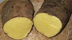 jamaica-yellow-yam-recipe