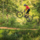 How to Mountain Bike: 5 Steps to Start Shredding in No Time