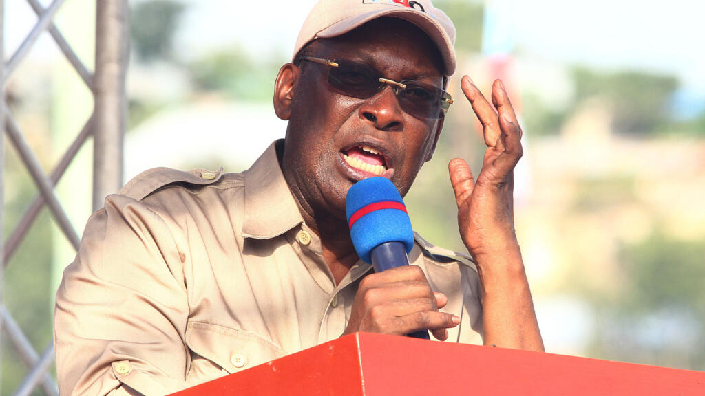 Leaders of Tanzania's main opposition party released