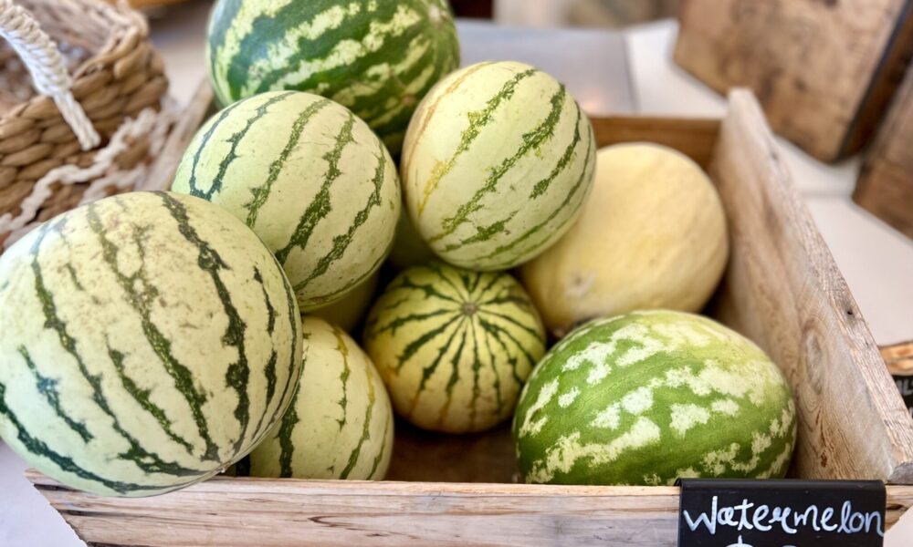 Melon Health Benefits + Top Ways to Use Melon & Melon Recipes