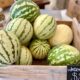 Melon Health Benefits + Top Ways to Use Melon & Melon Recipes