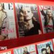 Vogue publisher and OpenAI strike deal