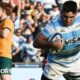 Argentina 67-27 Australia: Pumas inflict heaviest Test defeat on Wallabies