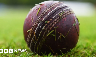 Cricket Scotland probe as board member apologises over 'P' word