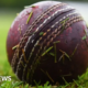 Cricket Scotland probe as board member apologises over 'P' word