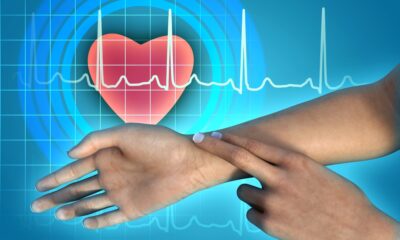 Study: Association between change in heart rate over years and life span in the Paris Prospective 1, the Whitehall 1, and Framingham studies. Image Credit: Andrea Danti / Shutterstock