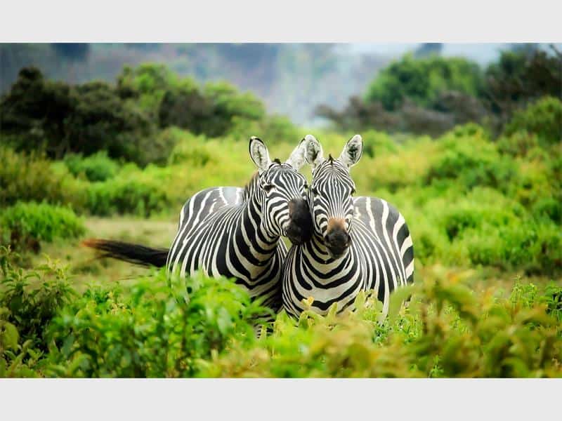 Take advantage of SA National Parks Week