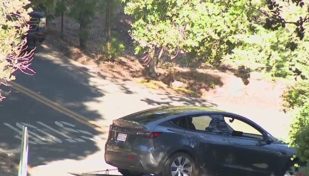 Victim in deadly Orinda road-rage incident identified