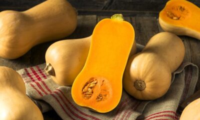 7 Types of Squash to Try This Season