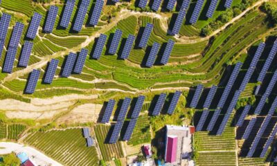 Rows of photovoltaic panels in a tea garden at Amber Village in Anqing, China, 2 October 2024 (Photo by Reuters/Costfoto and NurPhoto).