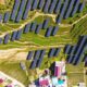 Rows of photovoltaic panels in a tea garden at Amber Village in Anqing, China, 2 October 2024 (Photo by Reuters/Costfoto and NurPhoto).