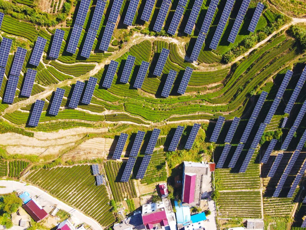 Rows of photovoltaic panels in a tea garden at Amber Village in Anqing, China, 2 October 2024 (Photo by Reuters/Costfoto and NurPhoto).