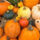 Healthy Fall Recipes