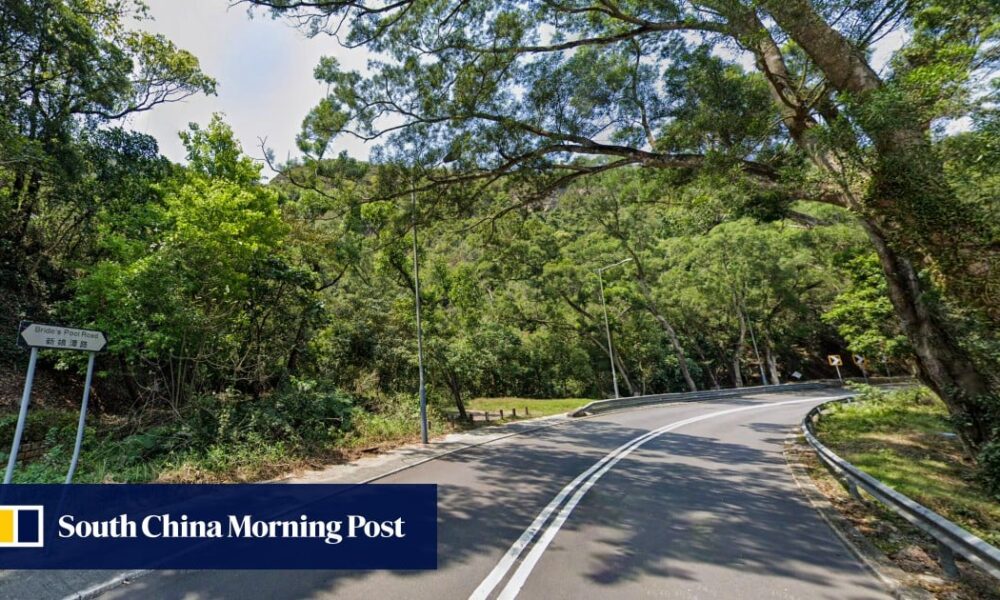 Hong Kong motorcyclist dies after crashing into kerb on Bride’s Pool Road