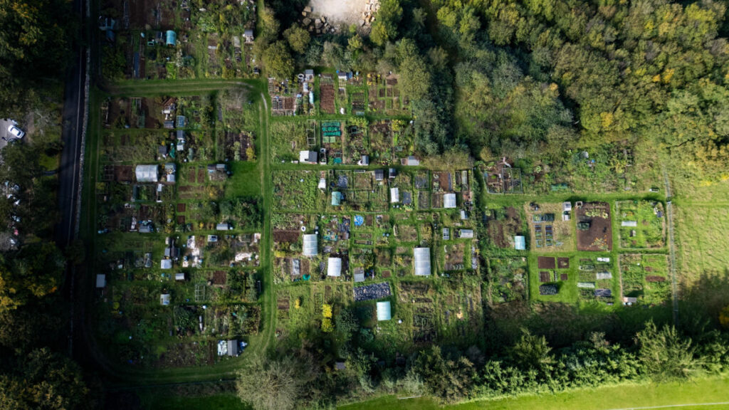 Nearly 70 allotment holders booted off their plots after 130 years