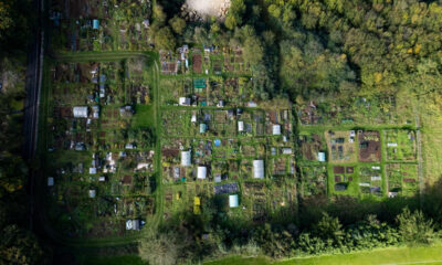 Nearly 70 allotment holders booted off their plots after 130 years