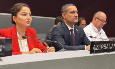 Sustainability and peace are two pillars defining brighter future for all - Azerbaijani MP (PHOTO)