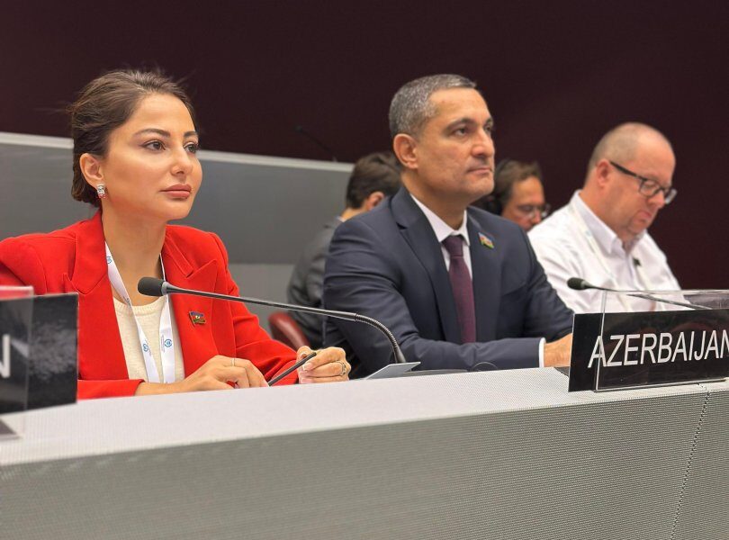 Sustainability and peace are two pillars defining brighter future for all - Azerbaijani MP (PHOTO)