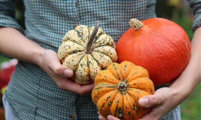 The Ultimate Guide to Squash: Low-Carb Varieties, Carb Counts, and How to Cook Them