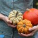 The Ultimate Guide to Squash: Low-Carb Varieties, Carb Counts, and How to Cook Them